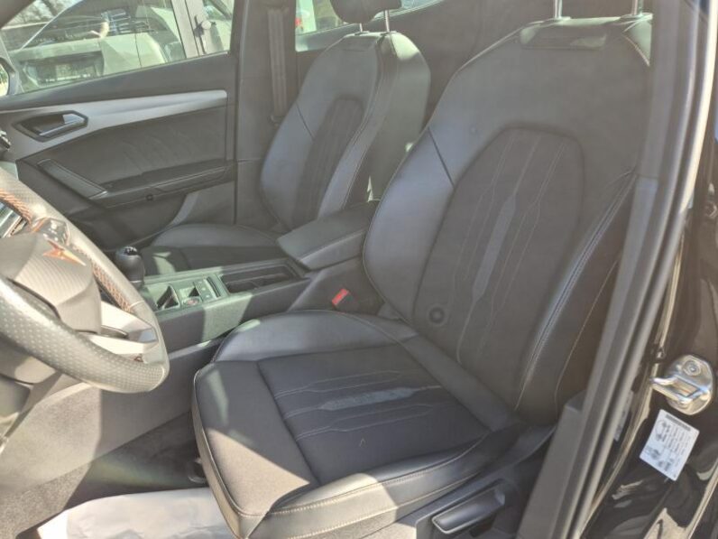 
								Cupra Formentor 1.5 L 150 PK full									