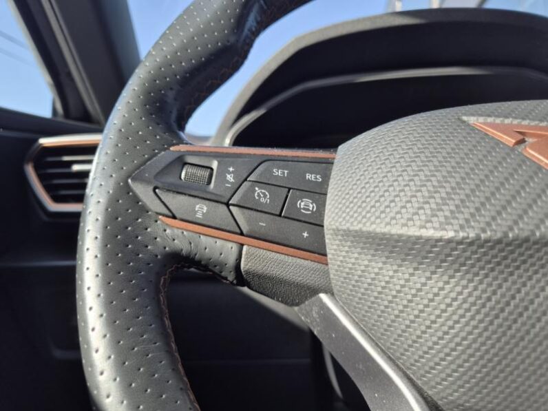 
								Cupra Formentor 1.5 L 150 PK full									
